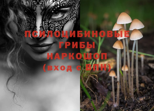 кристаллы Абаза