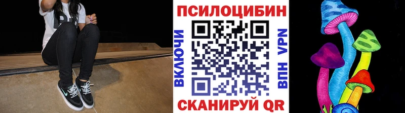Псилоцибиновые грибы Cubensis  Александровск-Сахалинский 